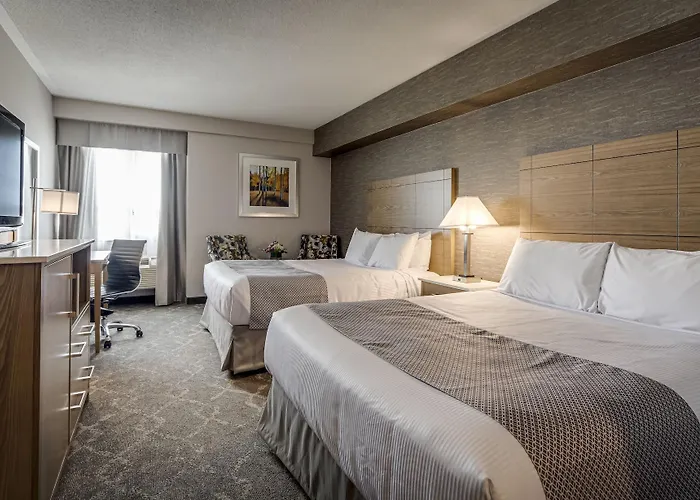 Standard Queen Room