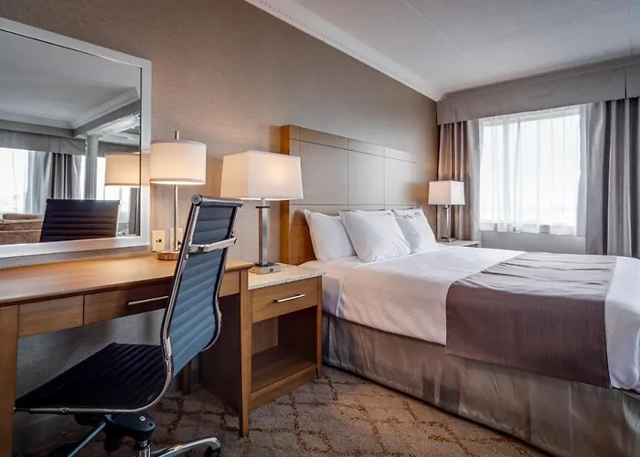 Luxury King Suite